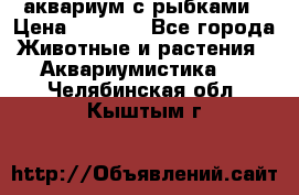 аквариум с рыбками › Цена ­ 1 000 - Все города Животные и растения » Аквариумистика   . Челябинская обл.,Кыштым г.